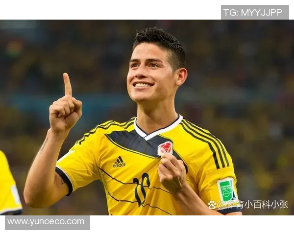 足球星光璀璨集结壁纸展现顶级球员激情对决的瞬间