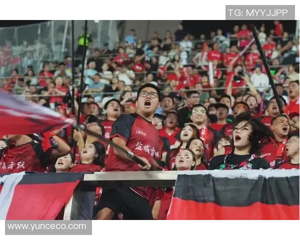 球星惊呆足球世界震撼全场激情时刻引发无数球迷热烈讨论